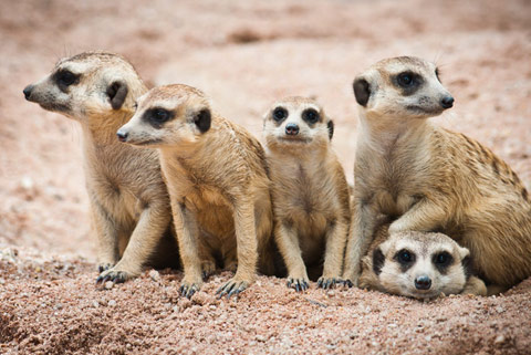 Things To Do in Somerset & Devon