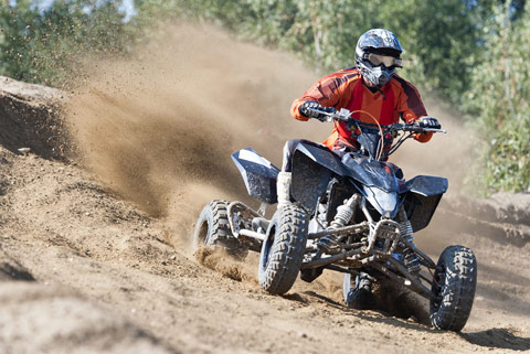 Things To Do in Somerset & Devon