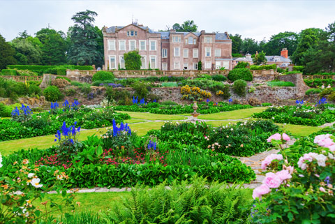 Things To Do in Somerset & Devon