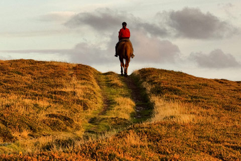 Things To Do in Somerset & Devon