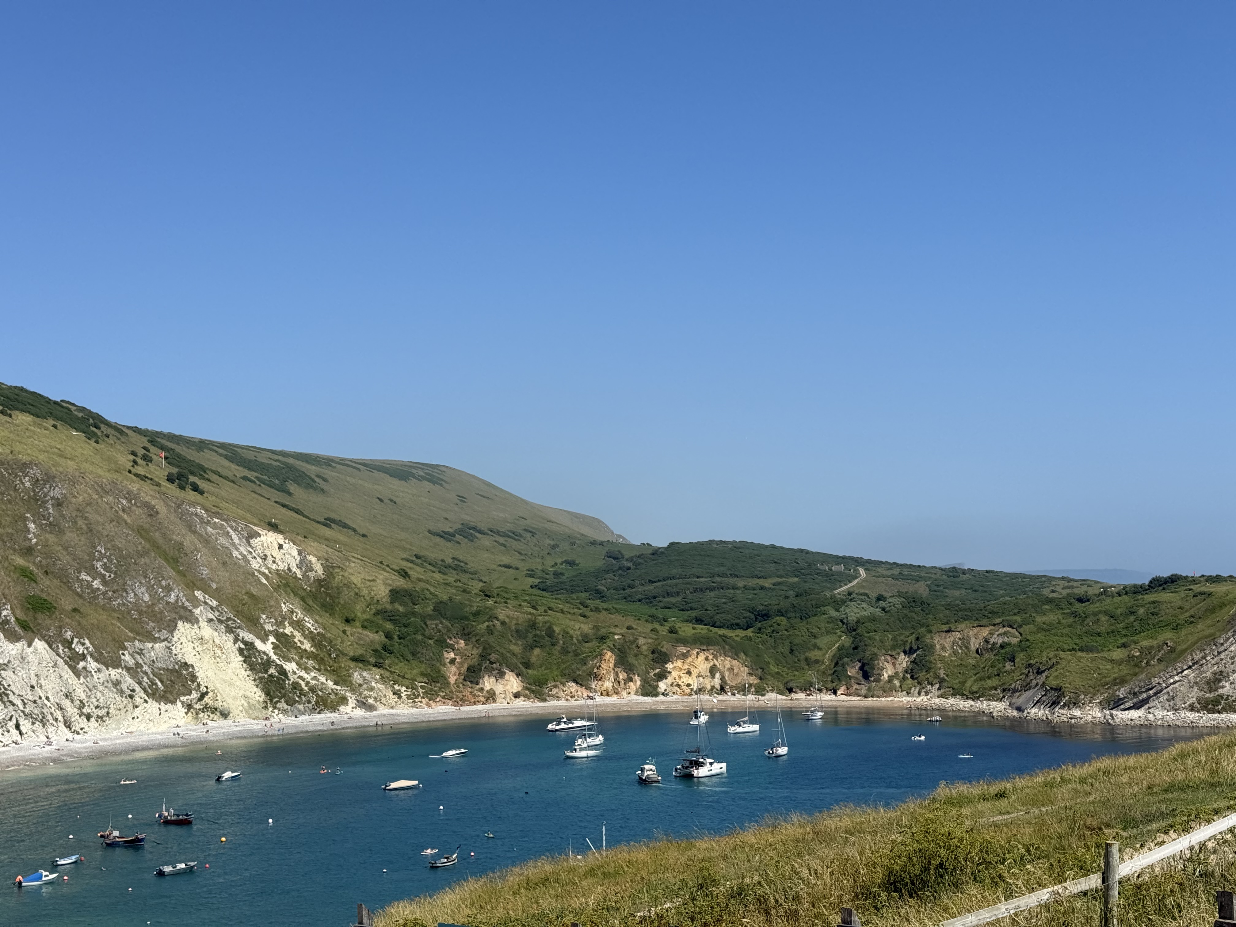 Top Dog-Friendly Beaches in Dorset