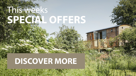 View our special offers